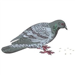 Pigeon embroidery designs machine embroidery designs at Pigeon embroidery designs machine embroidery designs at
