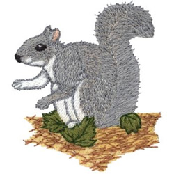 Gray Squirrel Embroidery Design | EmbroideryDesigns.com