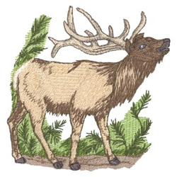 Elk embroidery designs machine embroidery designs at embroiderydesignscom Elk embroidery designs machine embroidery designs at embroiderydesignscom