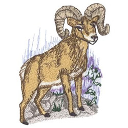 Big horn sheep embroidery designs machine embroidery designs at