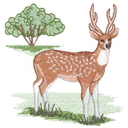 Axis Deer Embroidery Design | EmbroideryDesigns.com