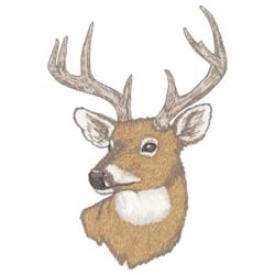 Whitetail Deer Embroidery Design | EmbroideryDesigns.com