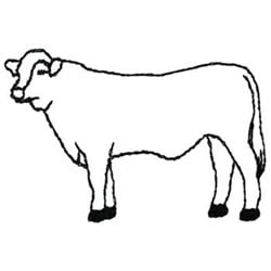 Charolais Outline Embroidery Design | EmbroideryDesigns.com