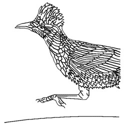 Roadrunner Outline Embroidery Design | EmbroideryDesigns.com