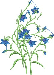 Blue Bell Flowers Embroidery Design | EmbroideryDesigns.com