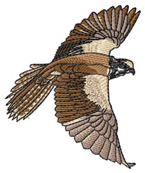 Falcon embroidery designs machine embroidery designs at Falcon embroidery designs machine embroidery designs at