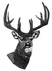 Deer head embroidery designs machine embroidery designs at