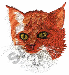 orange tabby cat embroidery kit