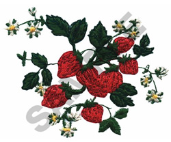 Wild strawberry vine embroidery designs machine embroidery designs at Wild strawberry vine embroidery designs machine embroidery designs at