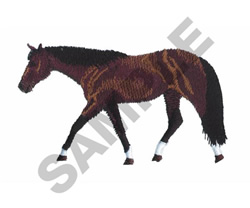 Quarter horse embroidery design  embroiderydesignscom