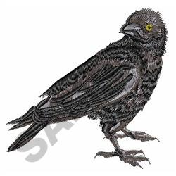 American crow embroidery designs machine embroidery designs at American crow embroidery designs machine embroidery designs at
