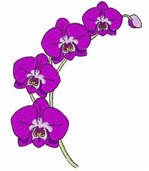 orchid pes file