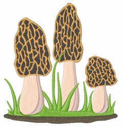 Morel mushrooms embroidery designs machine embroidery designs at Morel mushrooms embroidery designs machine embroidery designs at