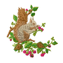 Squirrel Embroidery Design | EmbroideryDesigns.com