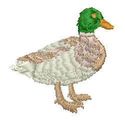 Mallard duck embroidery designs machine embroidery designs at Mallard duck embroidery designs machine embroidery designs at