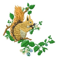 Squirrel Embroidery Design | EmbroideryDesigns.com