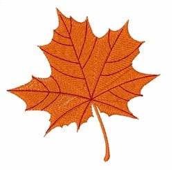 Maple Leaf Embroidery Design | EmbroideryDesigns.com