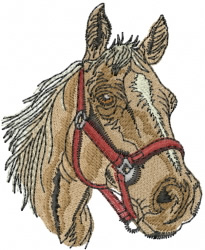 Horse head embroidery designs machine embroidery designs at Horse head embroidery designs machine embroidery designs at