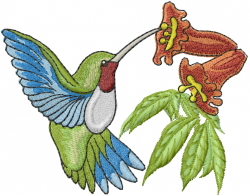 Hummingbird and flower embroidery designs machine embroidery designs Hummingbird and flower embroidery designs machine embroidery designs