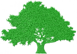 Oak tree embroidery designs machine embroidery designs at