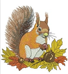 Squirrel Embroidery Design | EmbroideryDesigns.com