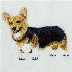 realistic corgi dog lucky