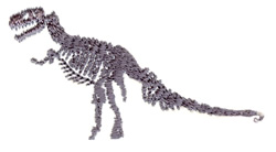 Dinosaur Skeleton Embroidery Design | EmbroideryDesigns.com