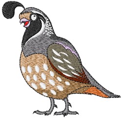 Quail Embroidery Design | EmbroideryDesigns.com