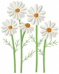 Daisy Blossoms Embroidery Design | EmbroideryDesigns.com