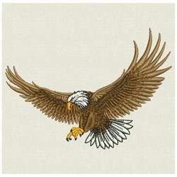 Flying eagle embroidery designs machine embroidery designs at Flying eagle embroidery designs machine embroidery designs at
