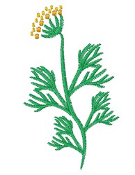 Dill weed embroidery designs machine embroidery designs at