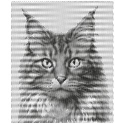 Maine Coon Realistic Cat Embroidery Design | EmbroideryDesigns.com