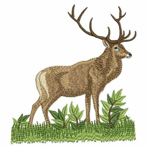 Wildlife Embroidery Designs Custom Embroidery