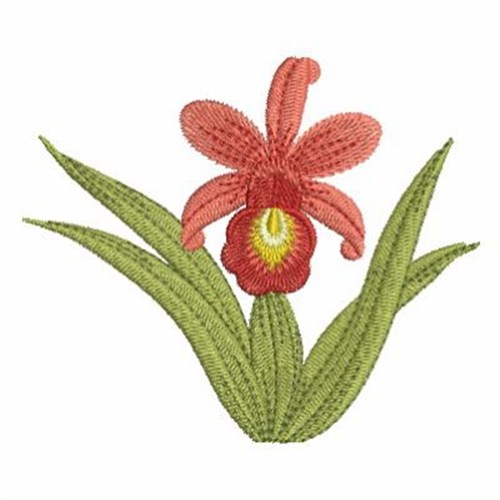 Orchids Embroidery Designs, Machine Embroidery Designs at ...