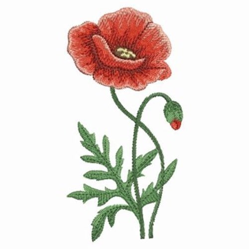 Download Watercolor Poppies Embroidery Designs Machine Embroidery Designs At Embroiderydesigns Com