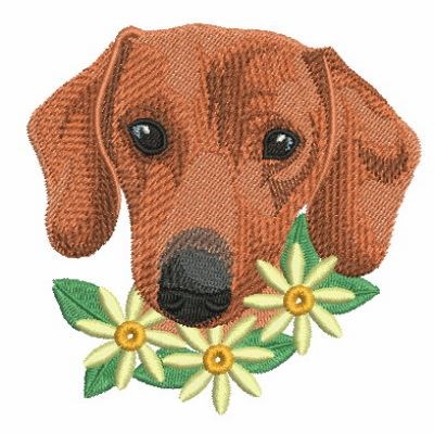 free embroidery conversion tool