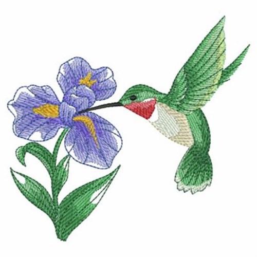 Download Watercolor Hummingbird And Iris Embroidery Designs Machine Embroidery Designs At Embroiderydesigns Com