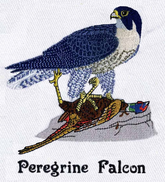 Falcon Embroidery Designs | Custom Embroidery