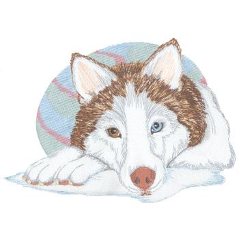 26+ Cute Young Siberian Husky Embroidery