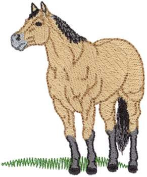 Buckskin quarter horse embroidery designs machine embroidery designs
