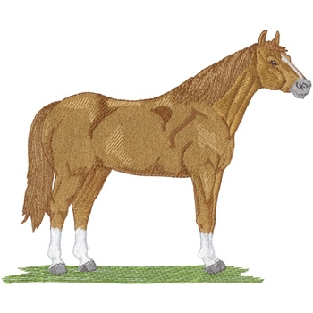 Quarter horse embroidery designs machine embroidery designs at
