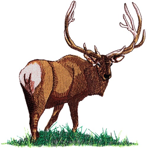 Elk embroidery designs machine embroidery designs at embroiderydesignscom Elk embroidery designs machine embroidery designs at embroiderydesignscom