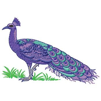 Peacock embroidery designs machine embroidery designs at Peacock embroidery designs machine embroidery designs at