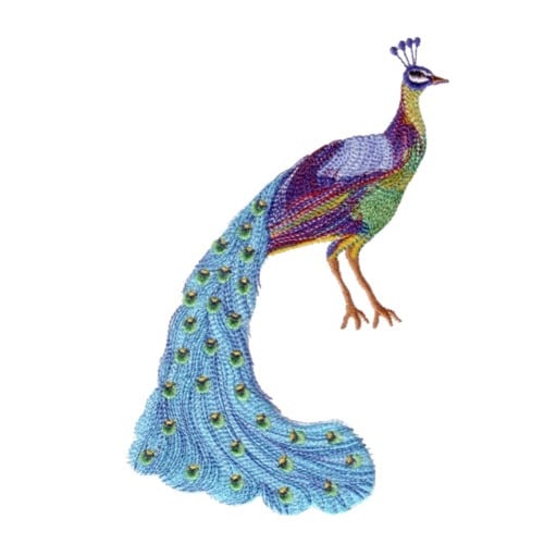 Beautiful Peacock Machine Embroidery Designs 6011