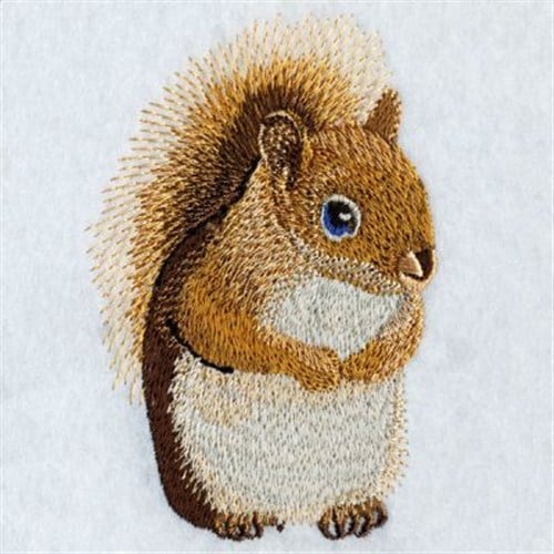 Squirrel Embroidery Pattern | Custom Embroidery