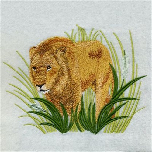 Realistic Lion Embroidery Designs Machine Embroidery Designs at
