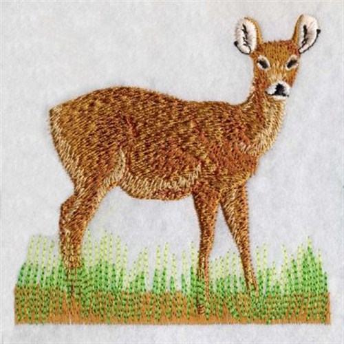 Realistic Deer Embroidery Designs Machine Embroidery Designs at