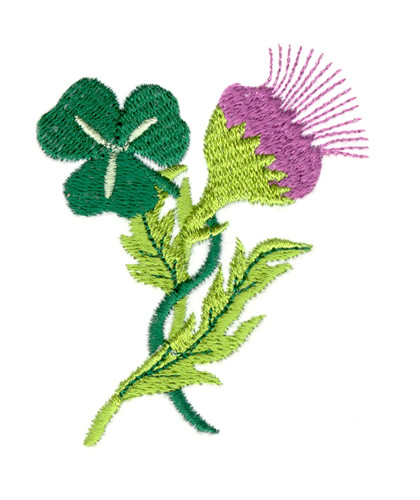 free thistle embroidery pattern
