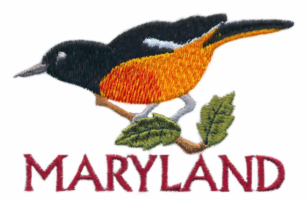 Marylandoriole embroidery designs machine embroidery designs at Marylandoriole embroidery designs machine embroidery designs at