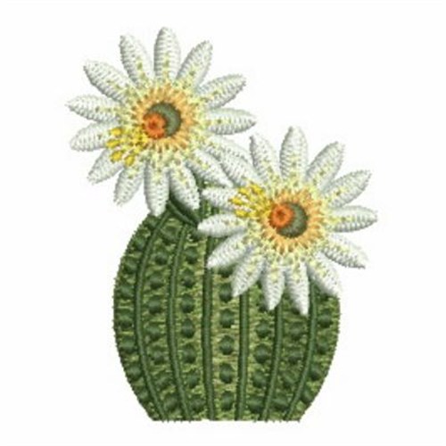 Cactus Embroidery Designs, Machine Embroidery Designs at